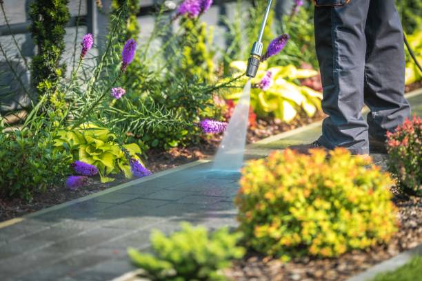 Best Gas Station Cleaning  in Osseo, WI
