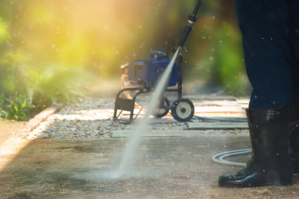 Best Roof Washing  in Osseo, WI